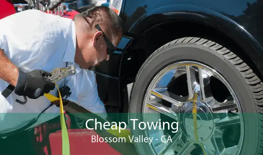 Cheap Towing Blossom Valley - CA