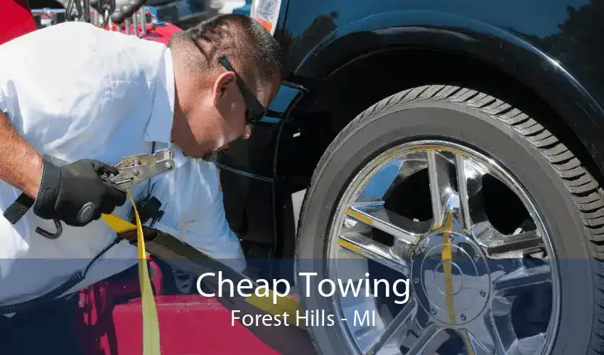 Cheap Towing Forest Hills - MI