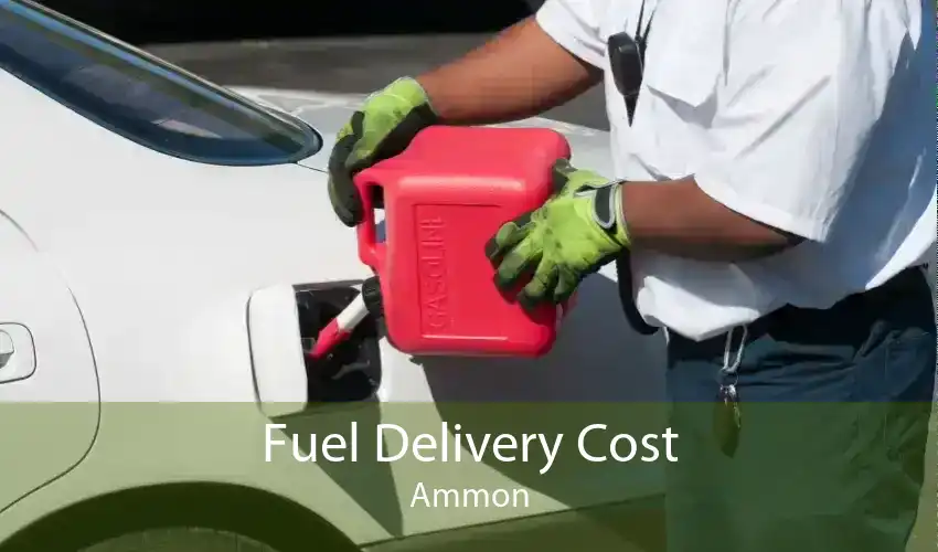 Fuel Delivery Cost Ammon