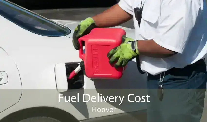 Fuel Delivery Cost Hoover