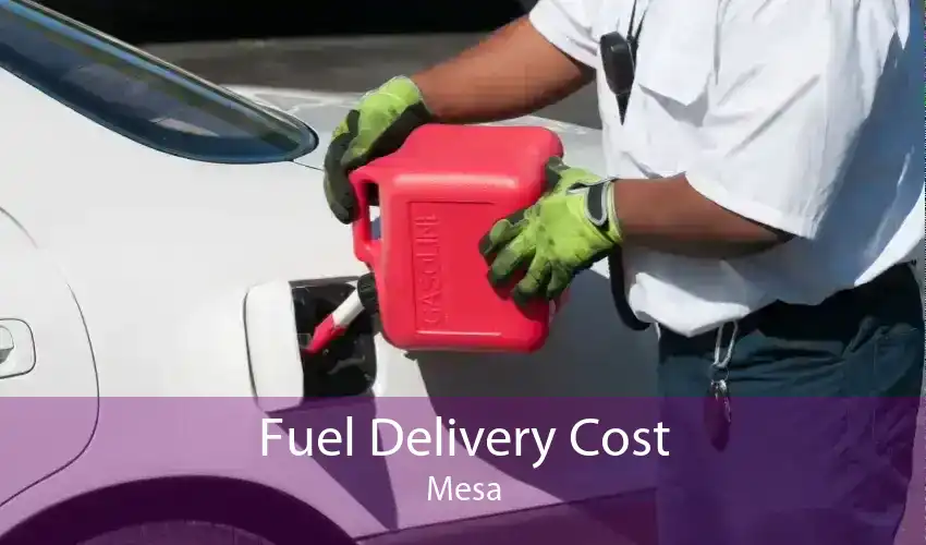 Fuel Delivery Cost Mesa