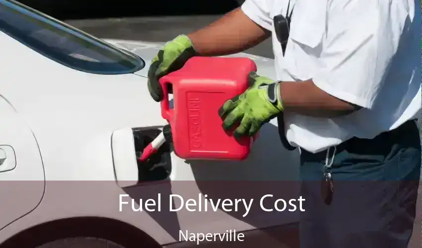 Fuel Delivery Cost Naperville