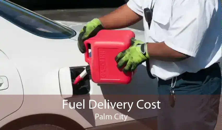 Fuel Delivery Cost Palm City