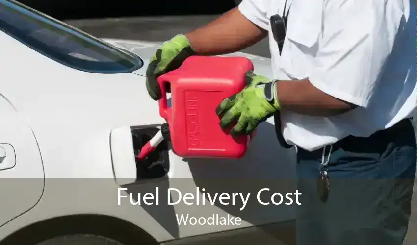 Fuel Delivery Cost Woodlake