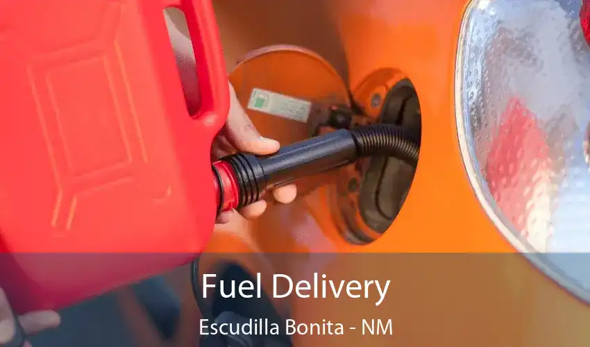 Fuel Delivery Escudilla Bonita - NM