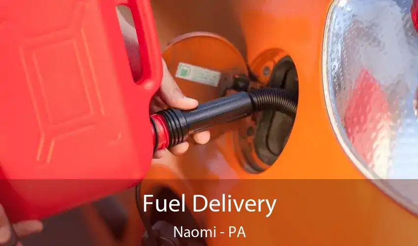 Fuel Delivery Naomi - PA
