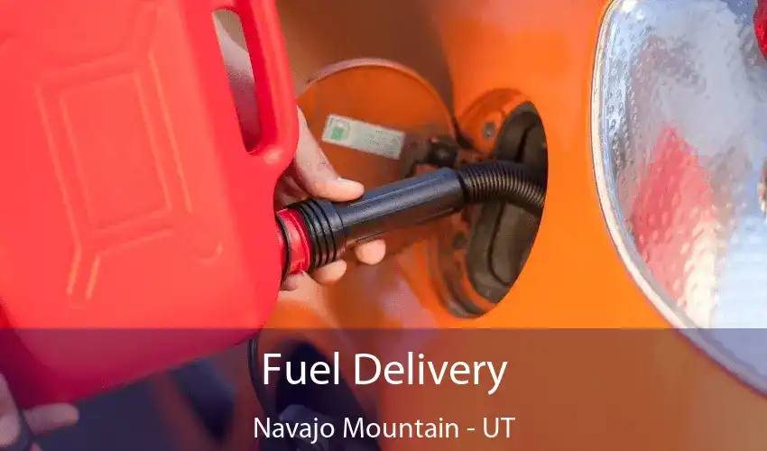 Fuel Delivery Navajo Mountain - UT