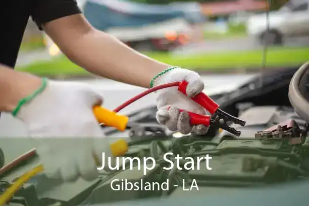 Jump Start Gibsland - LA