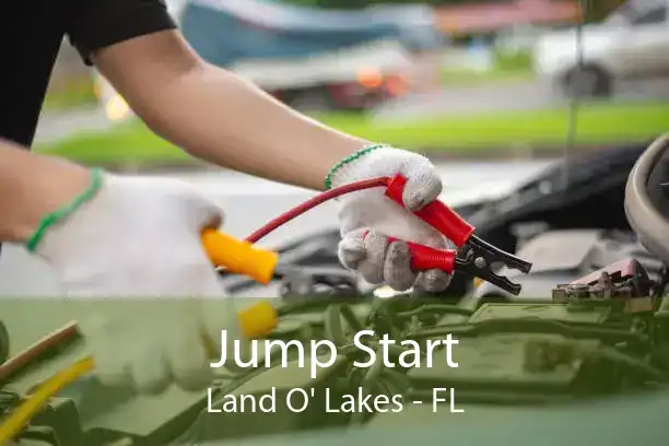 Jump Start Land O' Lakes - FL