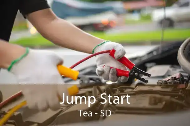 Jump Start Tea - SD