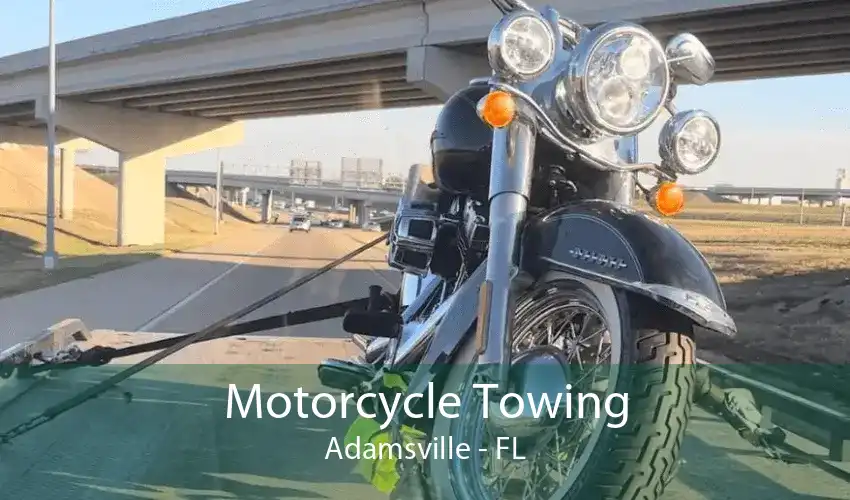 Motorcycle Towing Adamsville - FL