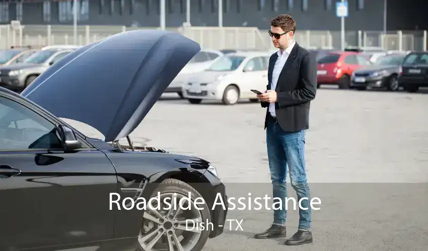 Roadside Assistance Dish - TX