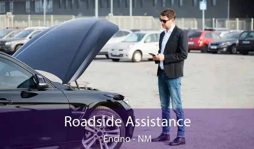 Roadside Assistance Encino - NM