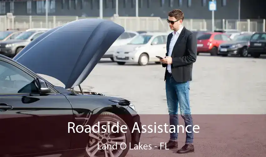 Roadside Assistance Land O' Lakes - FL