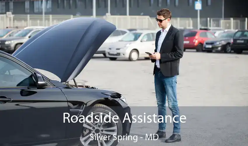 Roadside Assistance Silver Spring - MD