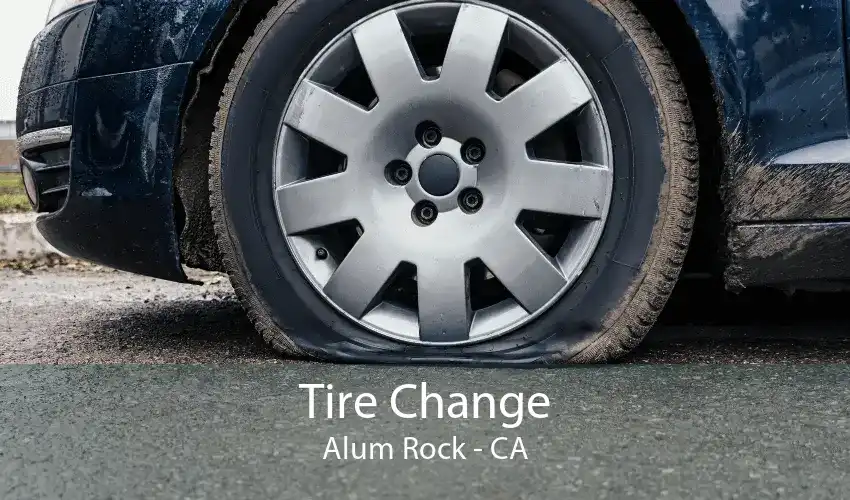 Tire Change Alum Rock - CA