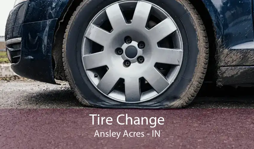 Tire Change Ansley Acres - IN