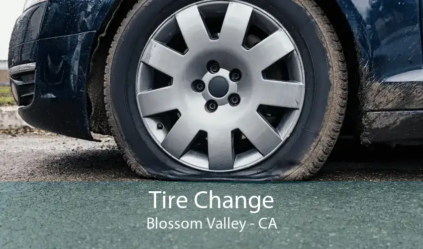 Tire Change Blossom Valley - CA