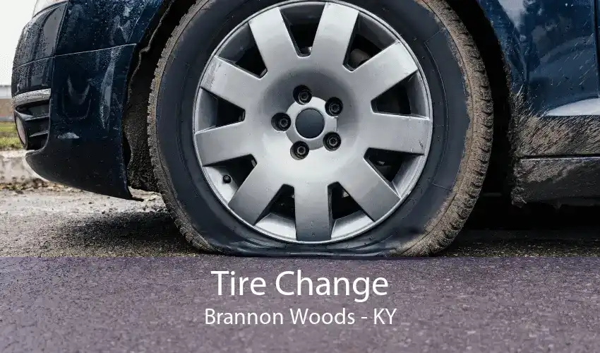 Tire Change Brannon Woods - KY
