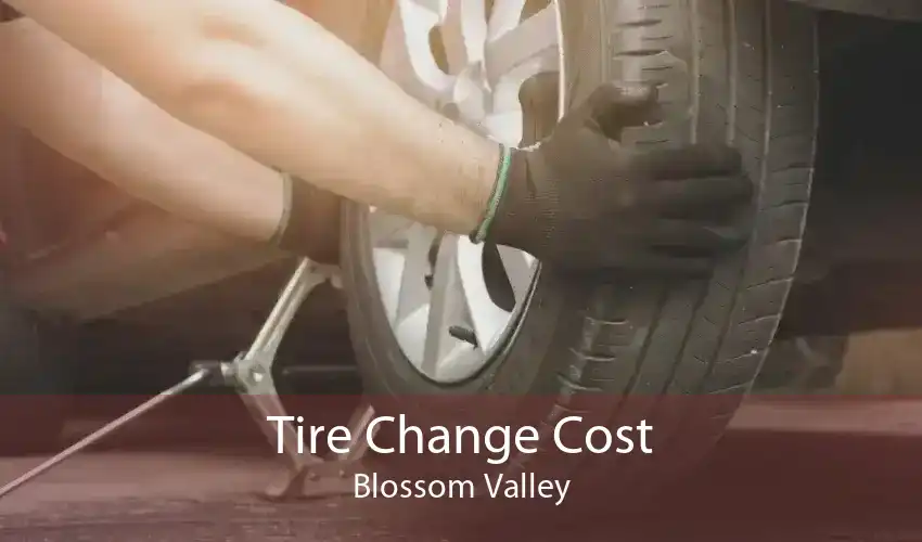 Tire Change Cost Blossom Valley