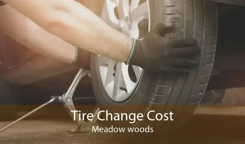 Tire Change Cost Meadow woods
