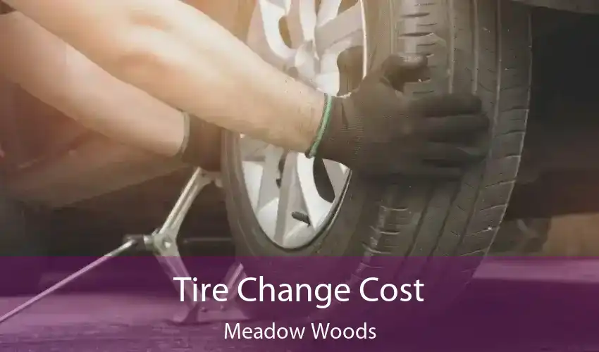 Tire Change Cost Meadow woods