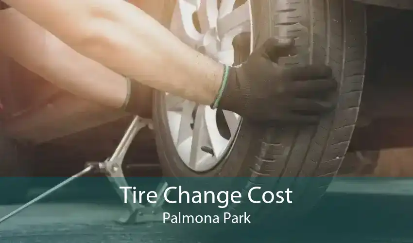Tire Change Cost Palmona Park