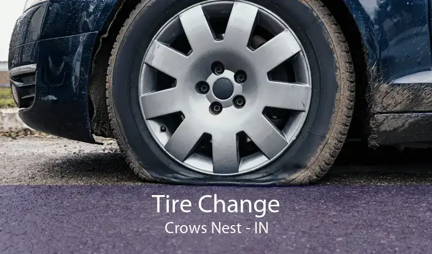 Tire Change Crows Nest - IN
