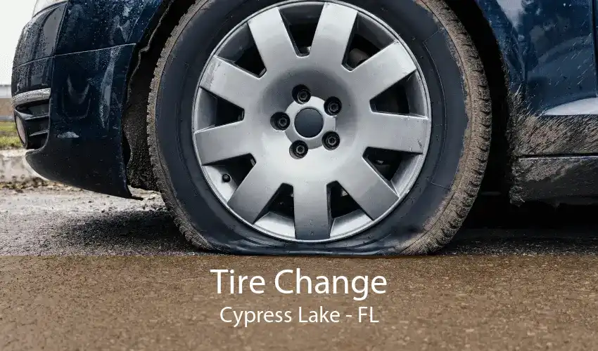 Tire Change Cypress Lake - FL