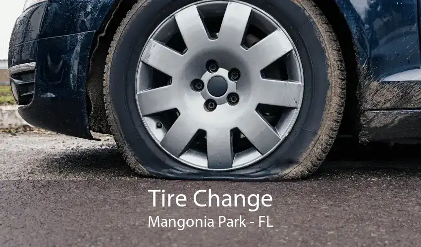Tire Change Mangonia Park - FL