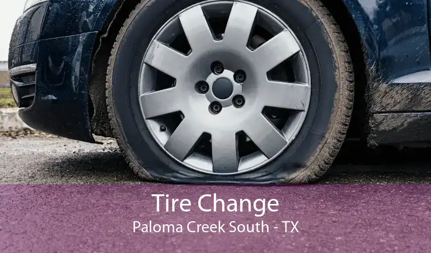 Tire Change Paloma Creek South - TX