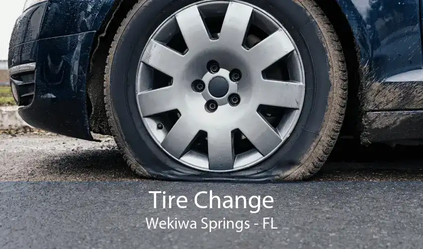 Tire Change Wekiwa Springs - FL