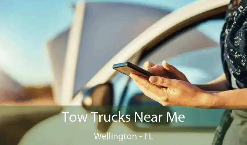 Tow Trucks Near Me Wellington - FL