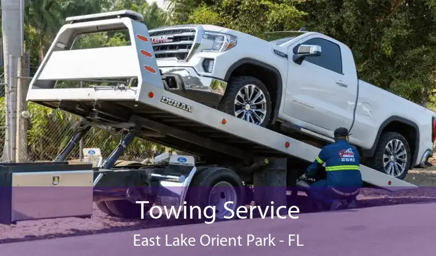 Towing Service East Lake Orient Park - FL