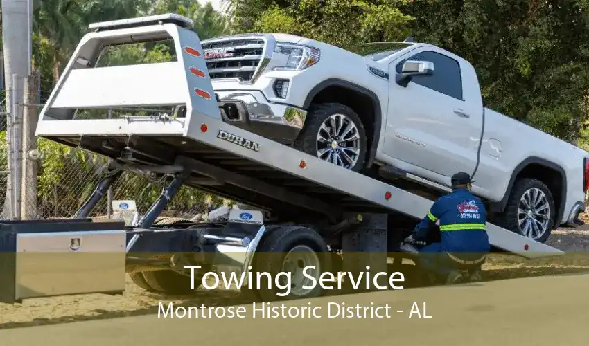 Towing Service Montrose Historic District - AL
