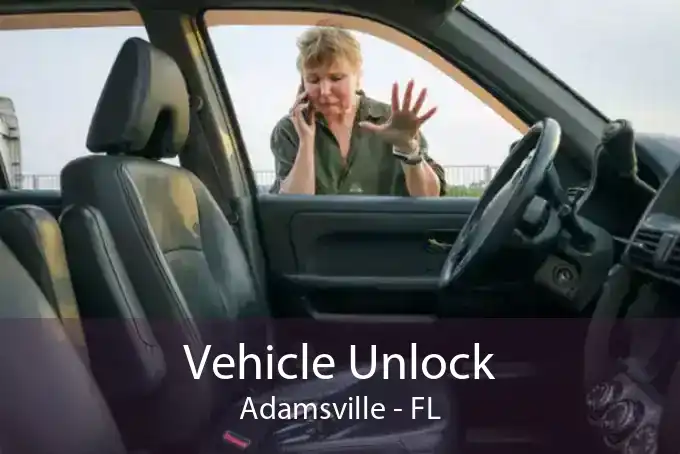 Vehicle Unlock Adamsville - FL