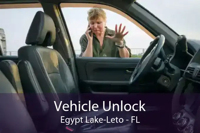 Vehicle Unlock Egypt Lake-Leto - FL