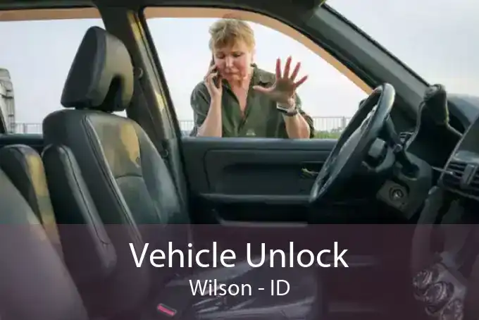 Vehicle Unlock Wilson - ID