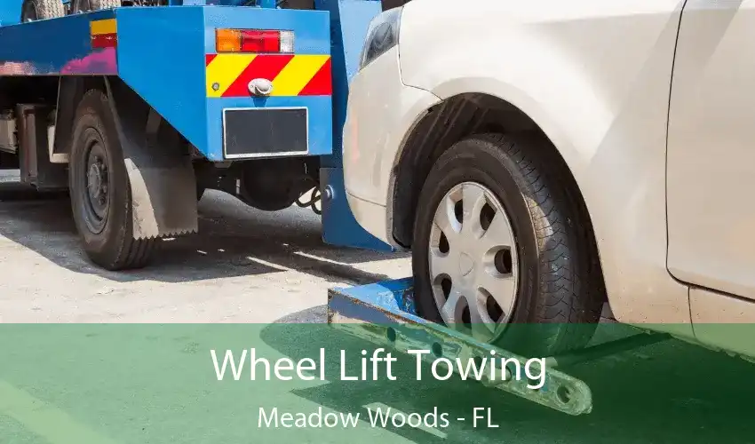 Wheel Lift Towing Meadow woods - FL