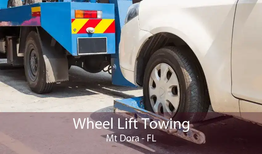 Wheel Lift Towing Mt Dora - FL