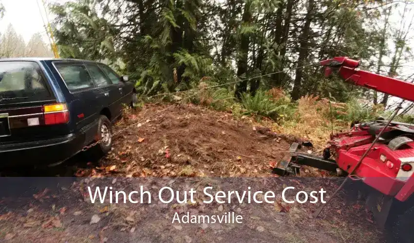 Winch Out Service Cost Adamsville