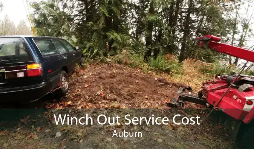 Winch Out Service Cost Auburn