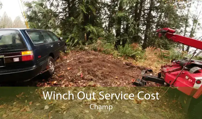 Winch Out Service Cost Champ