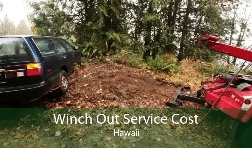 Winch Out Service Cost Hawaii