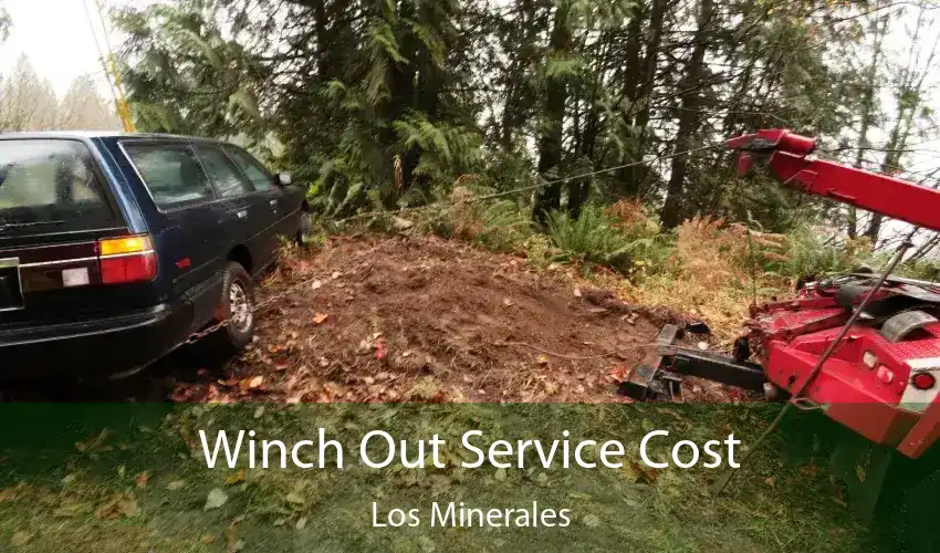 Winch Out Service Cost Los Minerales
