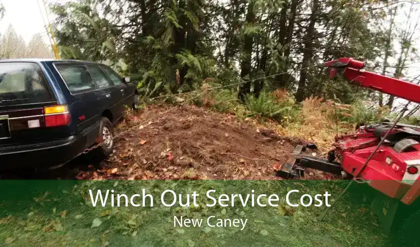 Winch Out Service Cost New Caney
