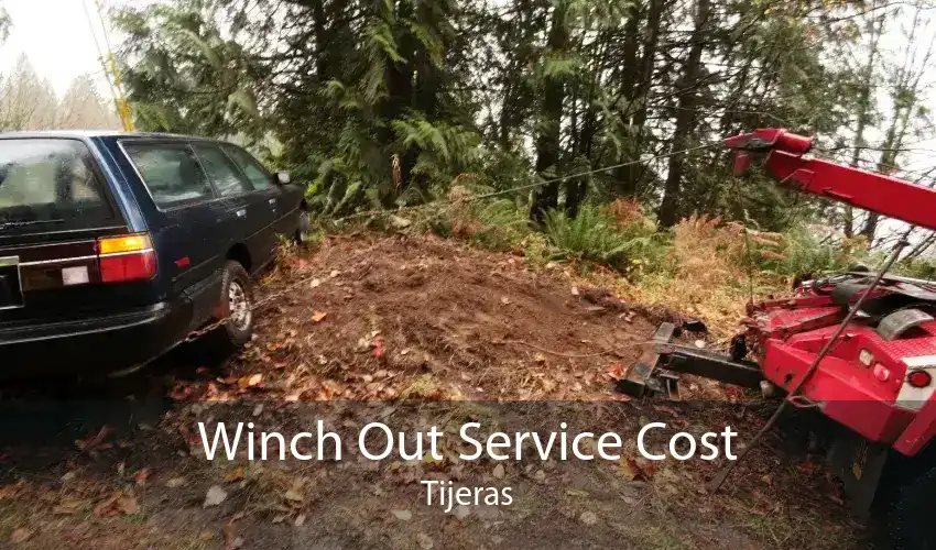 Winch Out Service Cost Tijeras